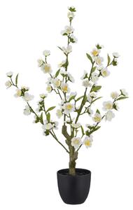 Mömax Umetna Rastlina Kirschblüte I -Paz-