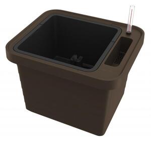 Samozavlažovací truhlík Berberis UNO, čokolada