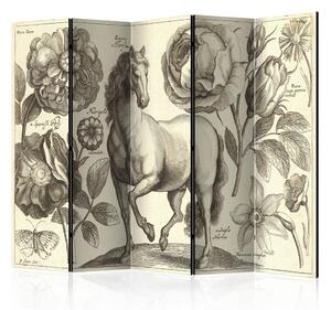 Artgeist Paravan Horse I, 5-Delni, Dvostranski