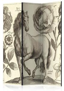 Artgeist Paravan Horse, 3-Delni, Dvostranski