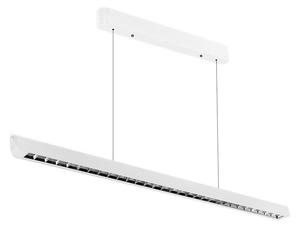 LED Lestenec na vrvici LED/36W/230V 3000/4000/6400K bela