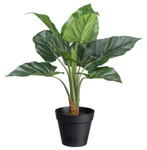 Modern Living Umetna Rastlina Anthurium Ii Zelena Barva