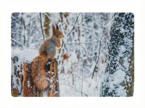 Božična predpražnik WILD IN WHITE 38x58 cm - več različic Različica: Veverica