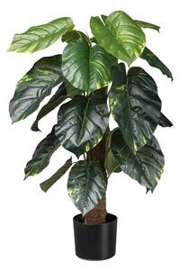 Modern Living Umetna Rastlina Philodendron Scandes I