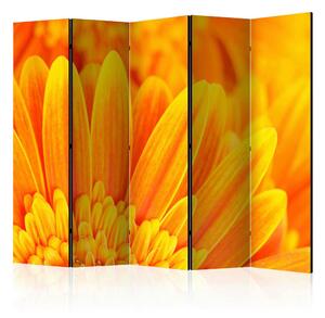 Artgeist Paravan Yellow Gerbera Daisies I, 5-Delni, Dvostranski
