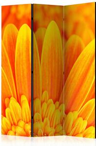 Artgeist Paravan Yellow Garbera Daisies, 3-Delni, Dvostranski