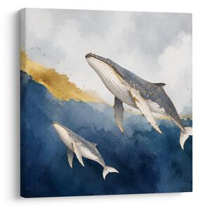 Slika par kitov v modrem oceanu