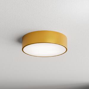 TEMAR LIGHTING Stropna svetilka Cleo 300, zlata, senzor, IP20, Ø 30 cm, kovina, Zlata / medeninasta, Dnevna soba / jedilnica, Kovina