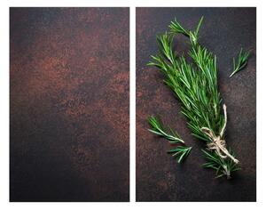 Zaščitne plošče za štedilnik iz kaljenega stekla 2 ks 52x30 cm Rosemary – Allstar