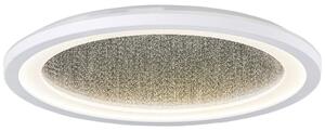 STROPNA LED-SVETILKA 2200 lm 4000 K