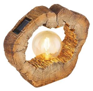 Globo Solarna Svetilka Woodlight, S Sijalko