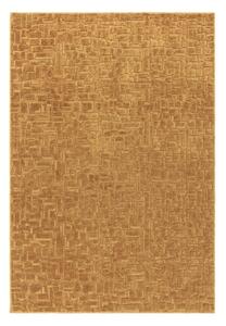 Gorčično rumena preproga 160x230 cm – Asiatic Carpets