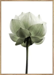UMETNIŠKI POTISK 50/70 cm