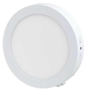 LED Stropna svetilka LED/12W/230V