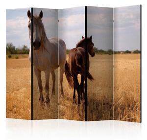 Artgeist Paravan Horse And Foal I, 5-Delni, Dvostranski