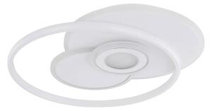 STROPNA LED-SVETILKA RODERICK 350-3600 lm 3000-6000 K 230 V