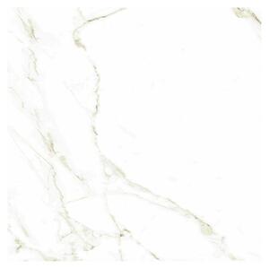 Halcón Talne ploščice Naos Gold Mate Satinado (60,5 x 60,5 cm, Bela, Mat)