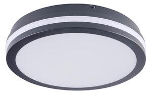 Brilagi - LED Zunanja svetilka BENE LED/24W/230V pr. 26 cm IP54