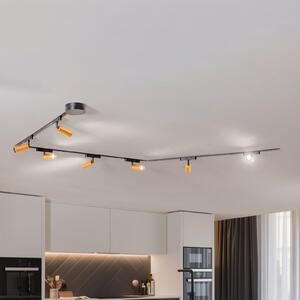 Lindby Lumaro tirni sistem, reflektorji, 7-svetlobni, zlati, Ø4cm, 48V, zatemnljivi, zatemnjen, Črna, Dnevna soba / jedilnica, Aluminij, Sodobni
