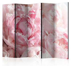 PARAVAN 225/172/3 cm bela, pink