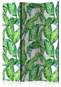 PARAVAN 135/172/3 cm bela, svetlo zelena