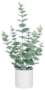 Mömax Umetna Rastlina Eukalyptus Ii -Paz-