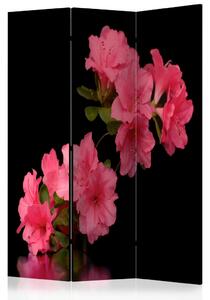 PARAVAN 135/172/3 cm črna, pink