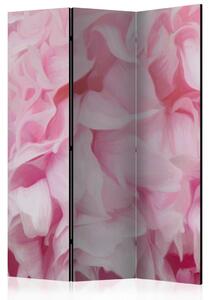 PARAVAN 135/172/3 cm pink, svetlo roza