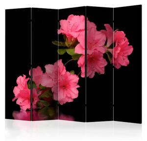 PARAVAN 225/172/3 cm črna, pink