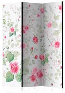 PARAVAN 135/172/3 cm zelena, bela, pink