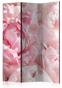 PARAVAN 135/172/3 cm pink, biserna