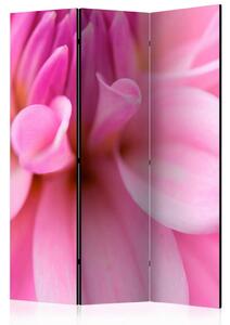 PARAVAN 135/172/3 cm pink
