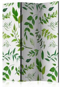 PARAVAN 135/172/3 cm zelena, bela