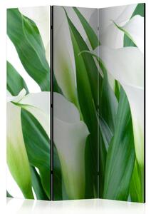 PARAVAN 135/172/3 cm zelena, bela