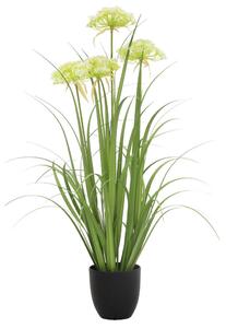 OKRASNA TRAVA 90 cm