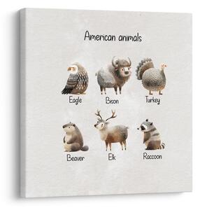 Slika ilustracija ameriških živali
