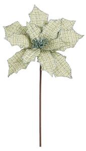 Mica Decorations Dračje (Božična zvezda, 45 cm, Svetlo zelena)