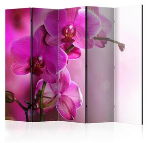 Artgeist Paravan Pink Orchid, 5-Delni, Dvostranski
