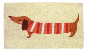 Predpražnik iz kokosovih vlaken 43x73 cm Sausage Dog – Rex London