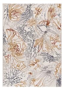 Preproga 80x150 cm Amara – Universal