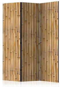 PARAVAN 135/172/3 cm rjava, bež