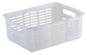 Curver Zaboj za shranjevanje Multi (Do x Š x V: 40,6 x 30,4 x 15,6 cm, Plastika, Prozorna)