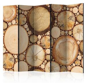 Artgeist Paravan Wood Grains I, 5-Delni, Enostranski