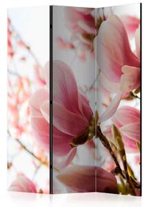 Artgeist Paravan Pink Magnolia, 3-Delni, Dvostranski