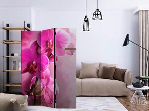 Artgeist Paravan Pink Orchid, 3-Delni, Dvostranski