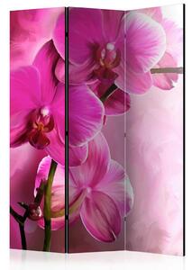 Artgeist Paravan Pink Orchid, 3-Delni, Dvostranski
