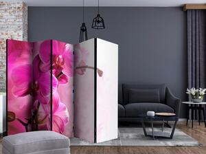 Artgeist Paravan Pink Orchid I, 5-Delni, Dvostranski