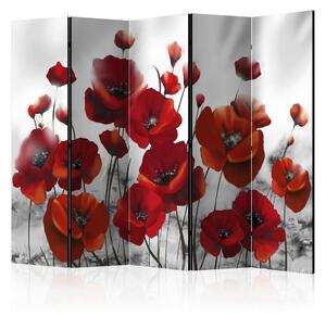 Artgeist Paravan Poppies I, 5-Delni, Dvostranski