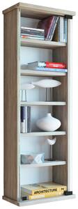 REGAL ZA CD-JE 31/91,5/18 cm barve bukve