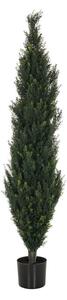 MID.YOU Umetna Rastlina Cedrus